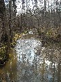 DSCN0654.JPG