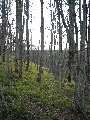 DSCN0665.JPG