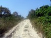 P1010067.jpg