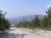 P10100771.jpg