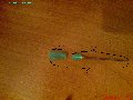 DSC00397.JPG