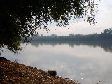 PA244597.jpg
