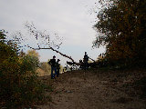 PA244600.jpg