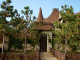 PA244606.jpg