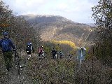 P1040747_.JPG