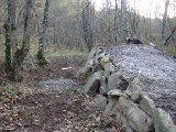 DSC05507.JPG