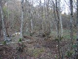 DSC05509.JPG
