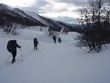 приют под пер.Белореченский.JPG