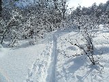 в зимнию сказку.JPG