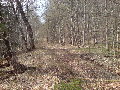 DSC02309.JPG