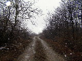 P1010062.jpg