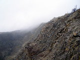 P1010065.jpg