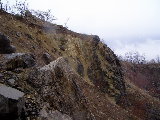 P1010067.jpg