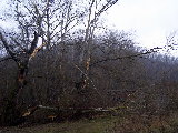 P1010083.jpg