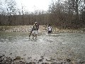DSCN1202.JPG