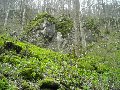 DSCN1335.JPG