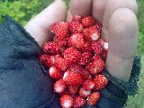09072010343.jpg