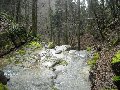 DSCN1379.JPG