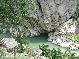 IMG_0108.jpg