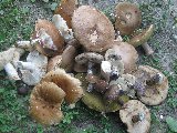 IMG_0131.jpg