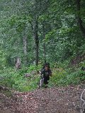 IMG_0138.jpg