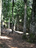 IMG_0182.jpg