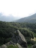 IMG_0192.jpg