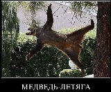 1292181989_050.jpg