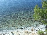 SDC11674.JPG