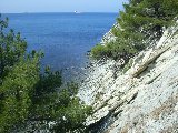 SDC11682.JPG