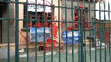 IMG_2913.jpeg