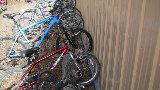 IMG_4028.JPG