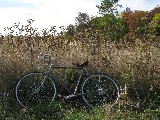 IMG_0586 Копия.JPG