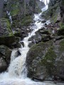 96_DSC08057_1.jpg