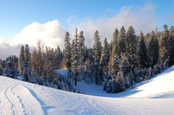 DSC_0452.JPG