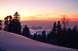 DSC_0518.JPG