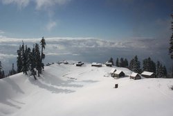 IMG_7124.JPG