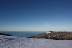 IMG_7344.JPG
