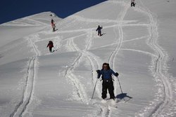 IMG_7508.JPG