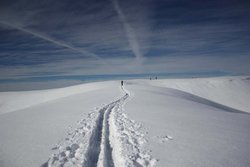 IMG_7512.JPG