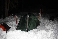 IMG_7517.JPG