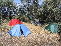 IMG_0264.jpg