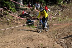 z_1d551899.jpg