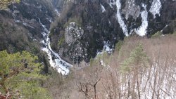 DSC00762.jpg