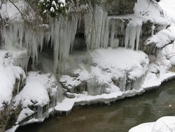 IMG_3174.jpg