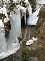 IMG_3417.jpg
