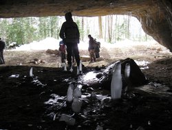 IMG_4586.jpg