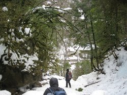 IMG_4621.jpg