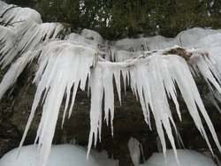 IMG_4640.jpg