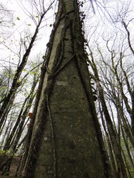 DSC00142.JPG
